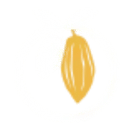 Chocolate Icon